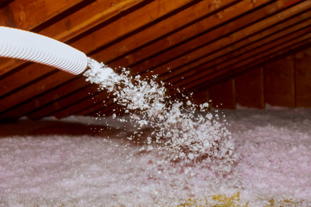 Best Cellulose Insulation in Coldwater, MS