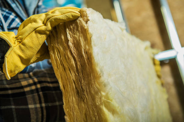 Best Specialized Insulation Services in Coldwater, MS